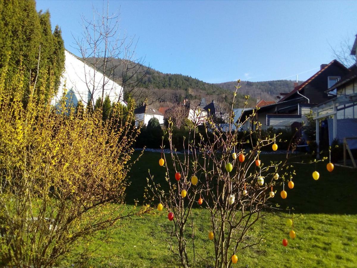 Brockenferien Bad Harzburg Exterior foto